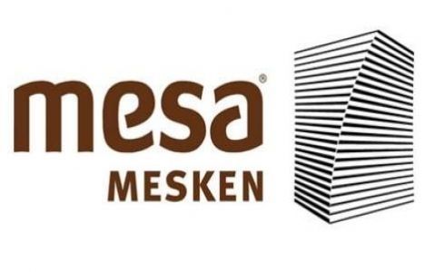 Mesa Logo